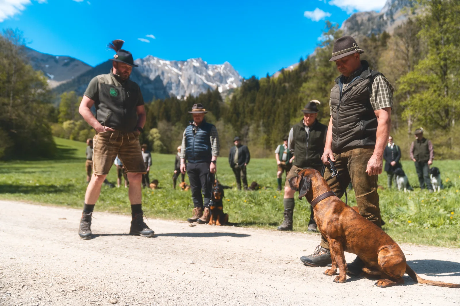 Jagdhundevorführung mit Hundeführern und Hunden vor einer Bergkulisse.